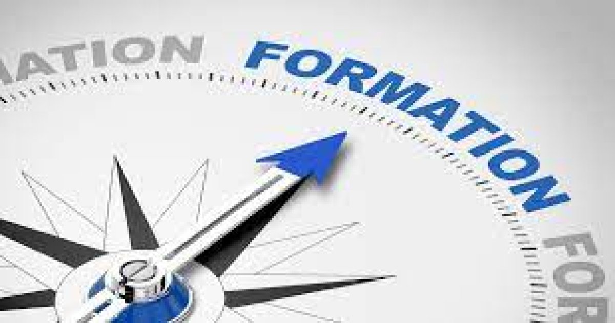 Formation/Recyclage des mentors de la cohorte 8